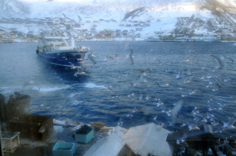 Scandinavie, Norvge, Sude, Finlande